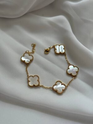 سوار فان كليف