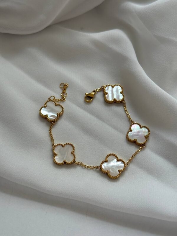 سوار فان كليف